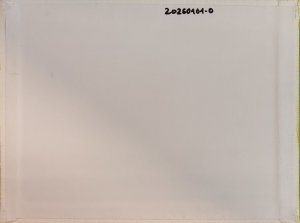 Pato en Aguas Doradas